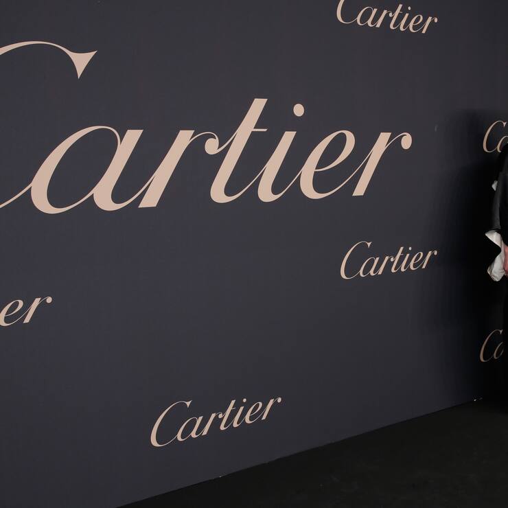 NEW YORK, NY - NOVEMBER 12:  Model Erin Wasson attends The Maison Cartier Celebrates 100th Anniversary Of Their Emblem La Panthere De Cartier! at Skylight Clarkson Sq on November 12, 2014 in New York City.  (Photo by JP Yim/Getty Images)