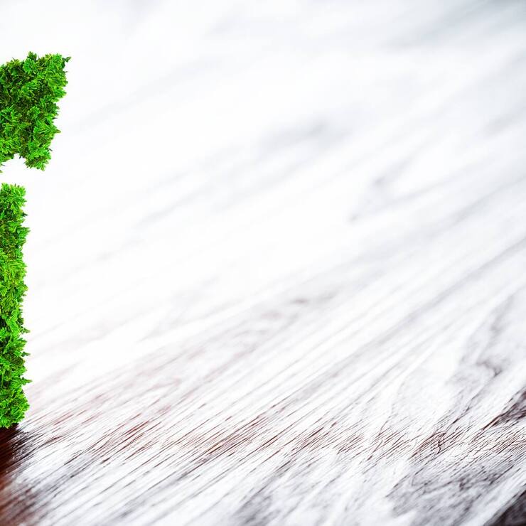 Green Finance Nachhaltigkeit Investition