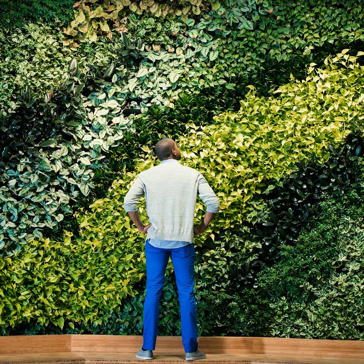 Young man standing in front of green plant wall, rear view