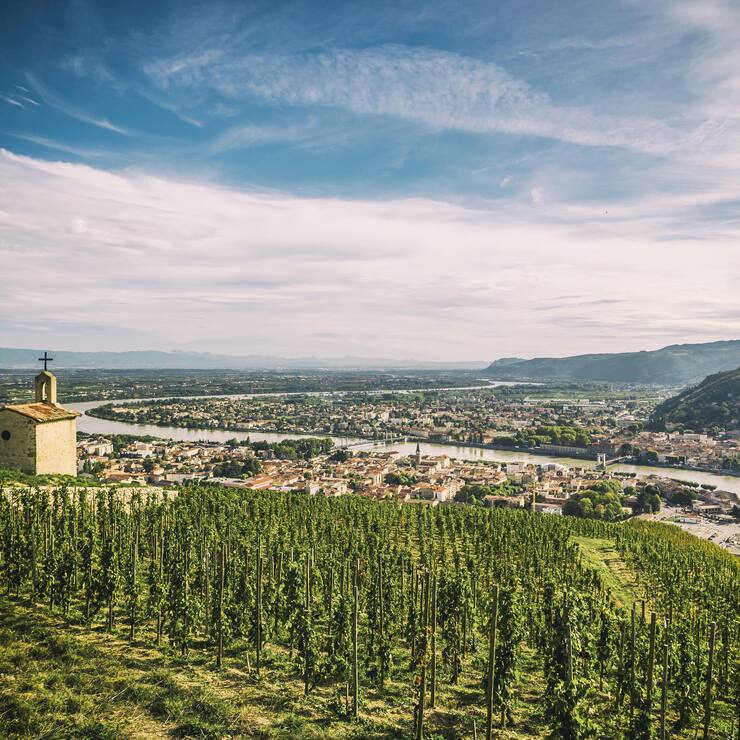 Weinberg «Hermitage»