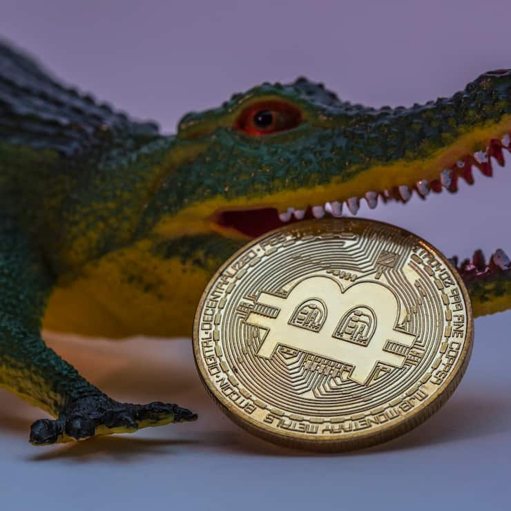 Bitcoin_Cyberwährung_Krokodil