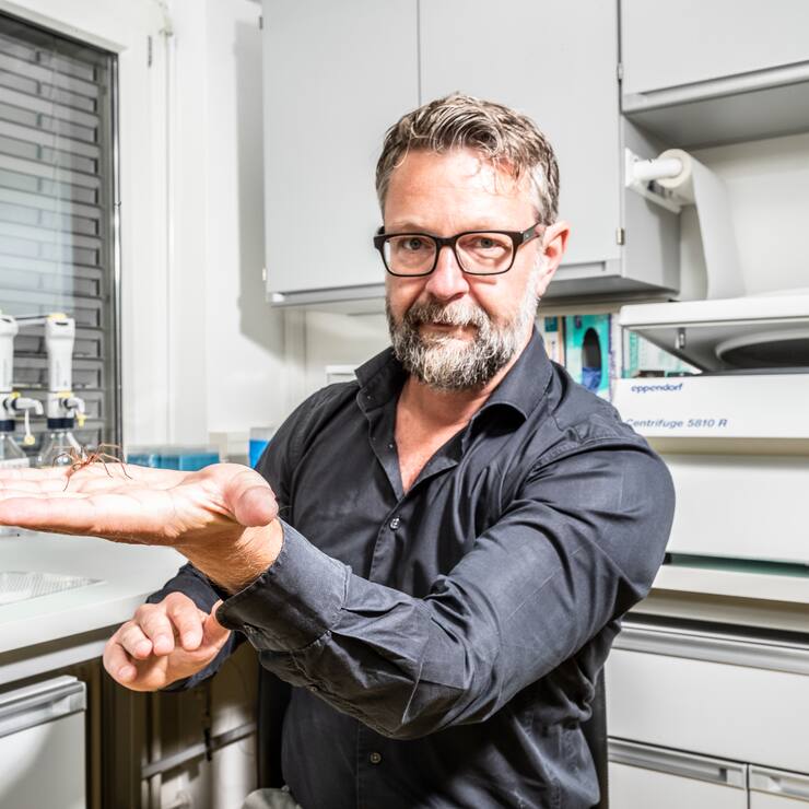 Keine Furcht vor Spinnen: Neurowissenschaftler Dominique de Quervain in seinem Labor an der Universität Basel.