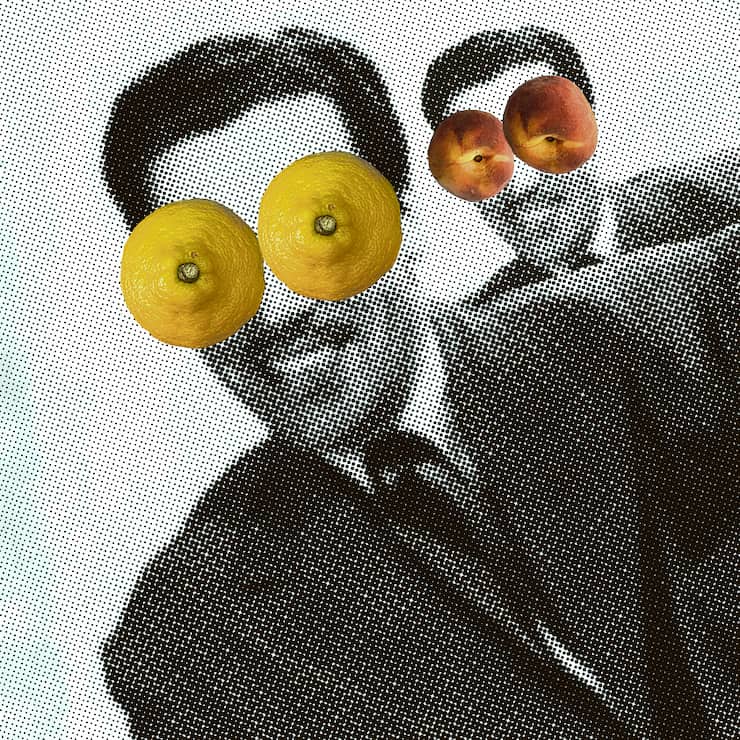 Illustration collage Theory of the Lemons