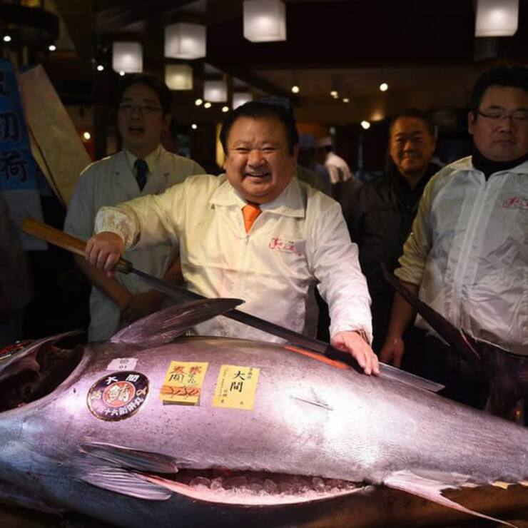 japan_thunfisch.jpg