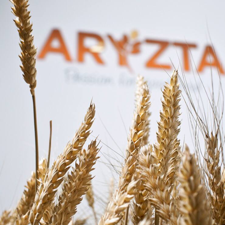 Aryzta