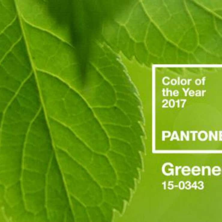 pantone1.jpg