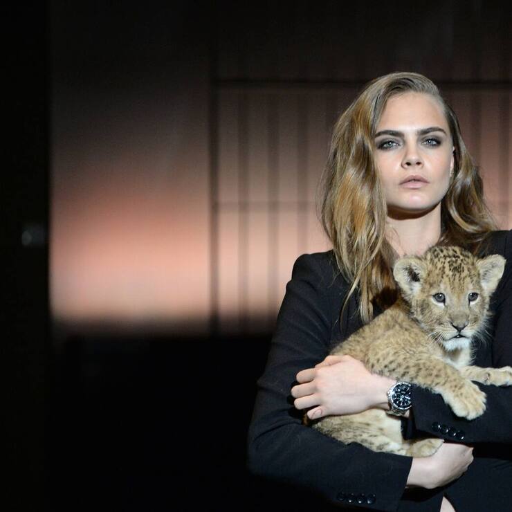 Cara_Delevingne.jpg