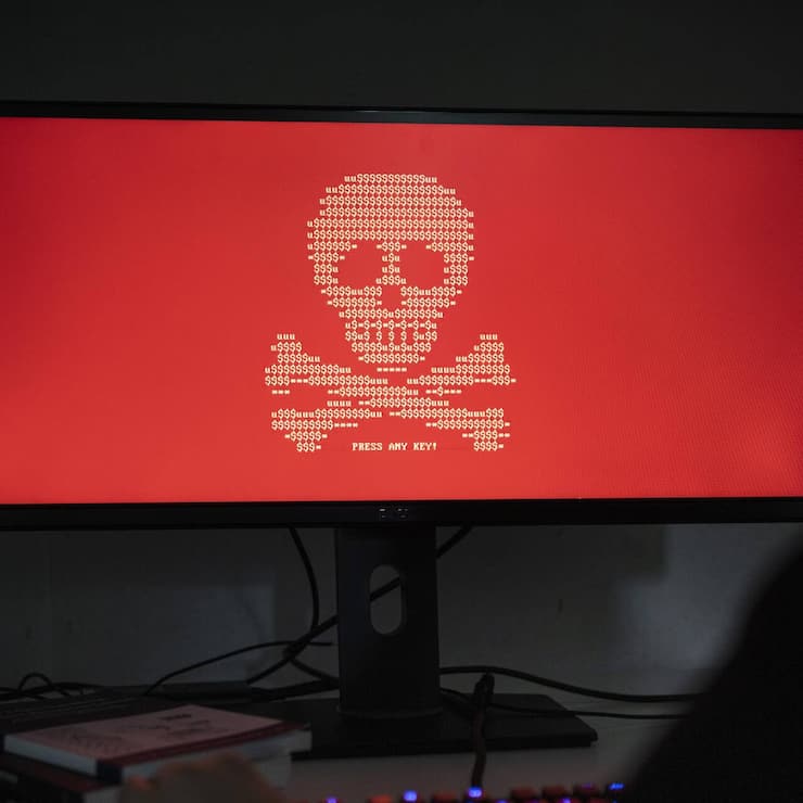 file7zy2ss59o2rs75v23bj