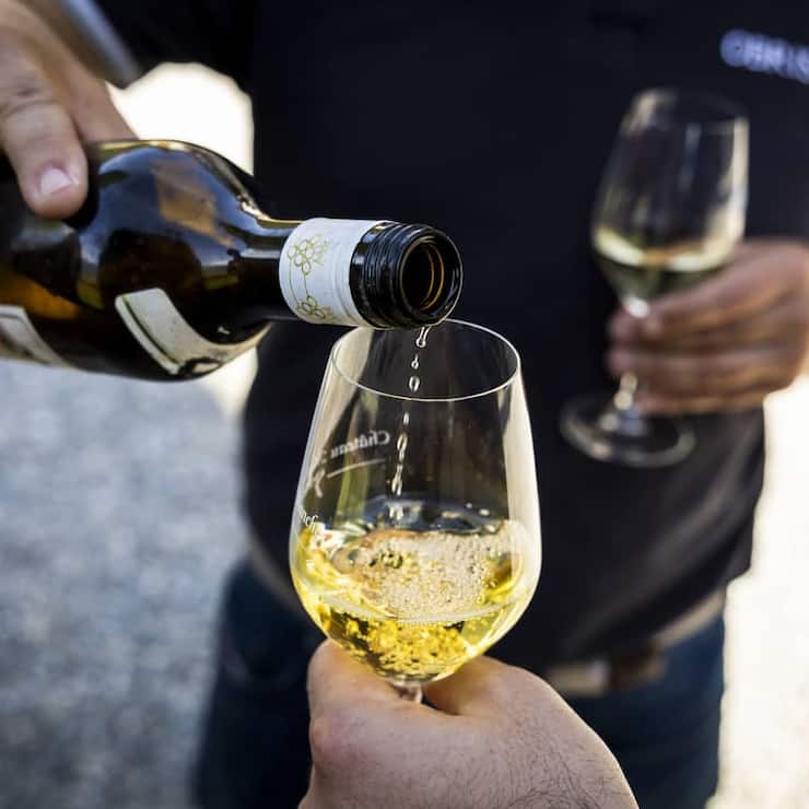 SCHWEIZ WEIN ERNTE YVORNE