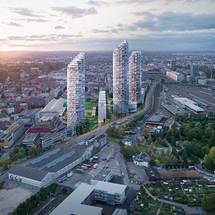 Basler Dreispitz Areal