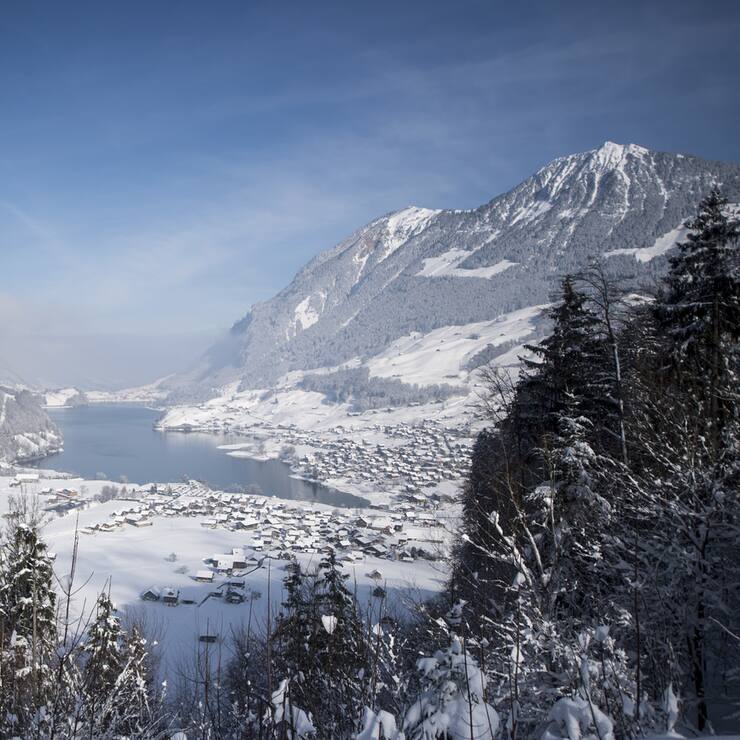 SCHWEIZ WINTER LUNGERN