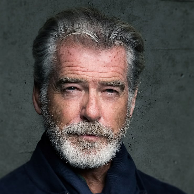 Portrait von Pierce Brosnan