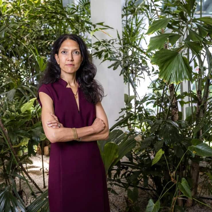 file83pa3q95ydjt6lq3b52