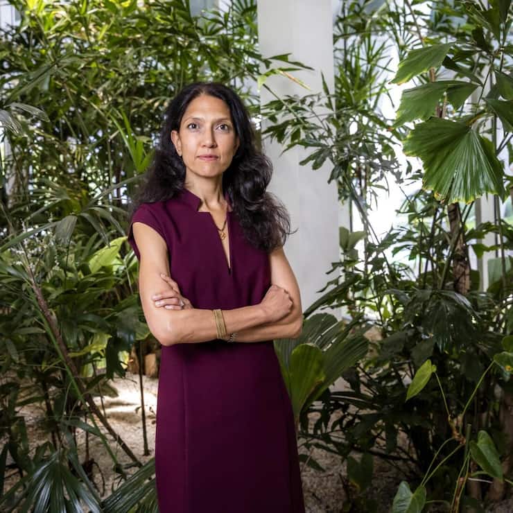 <p>Neustart: Unter Srishti Gupta kehrte das Vertrauen in die lange kriselnde Idorsia zurück.</p>