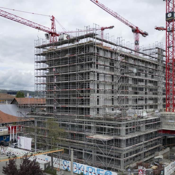 20250618145144495 Cropped.jpg