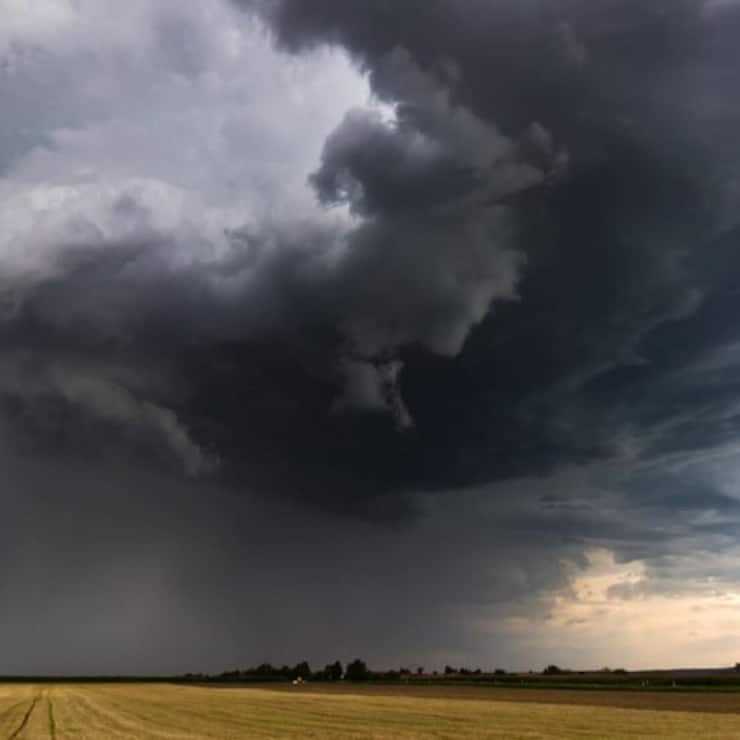 file7twntesf2jk1frfcx6h3