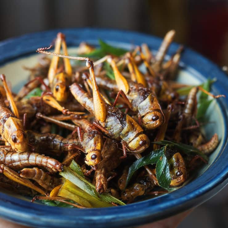 file85k2nqorqraj2hqiqsn