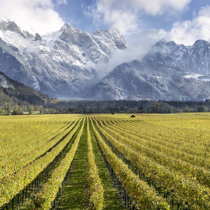 file8244dz2pzw8xq8t4a0u