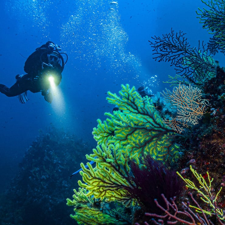 file850kr0fc787y8033f6f