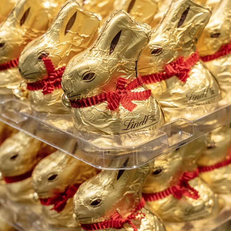 file7oy4g2c0lld17ditd2pu