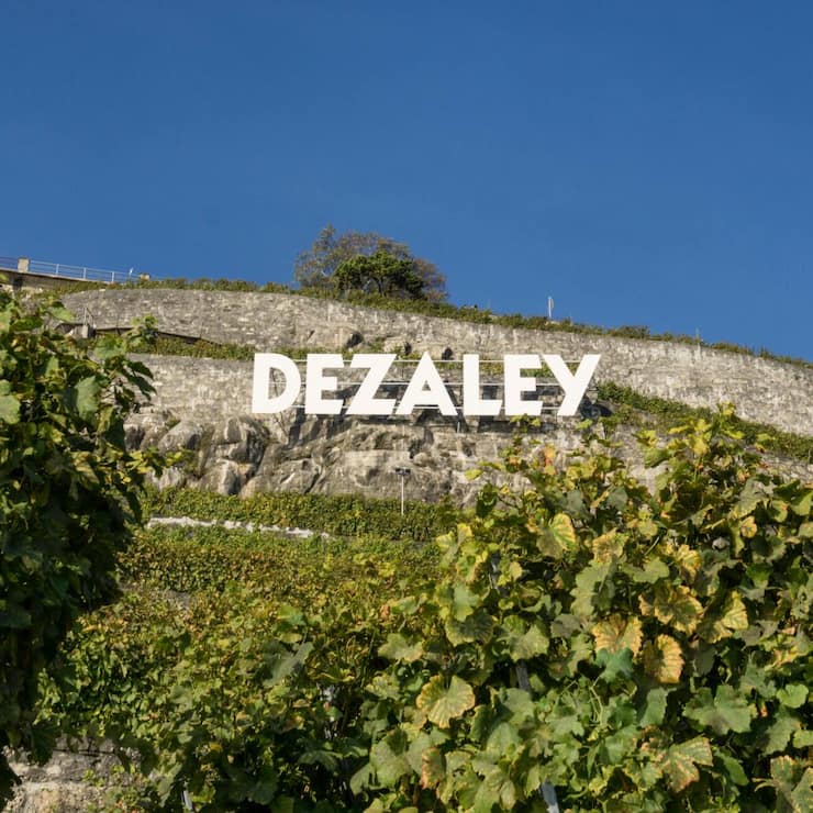 file7owvabatsxuyr9bm2l