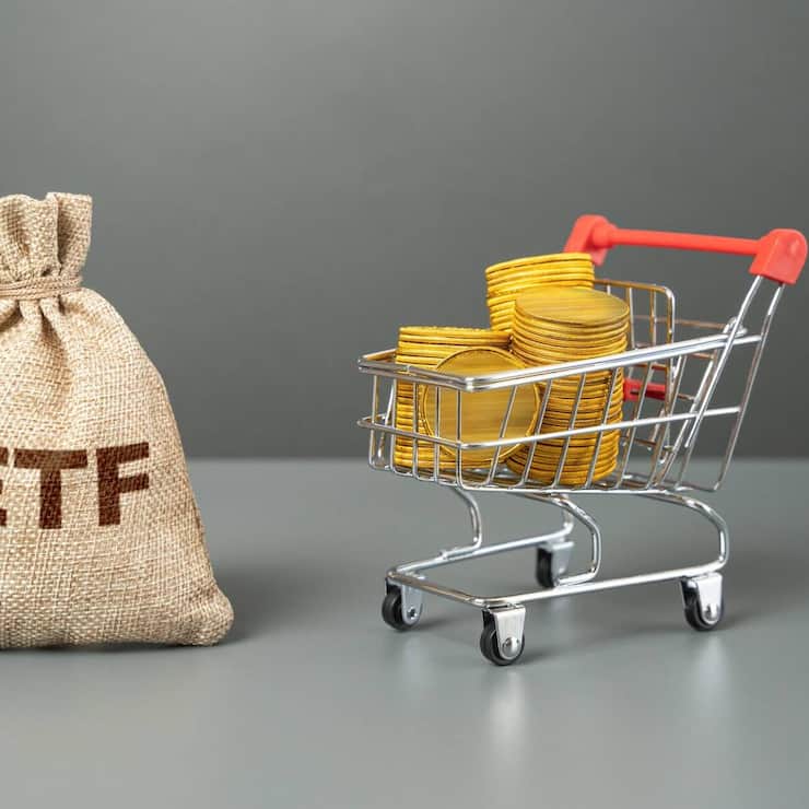 file84k3qrspp1j1lvuhi254m