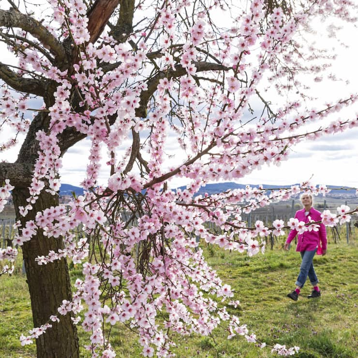 file855qgmepb4os0876ps7