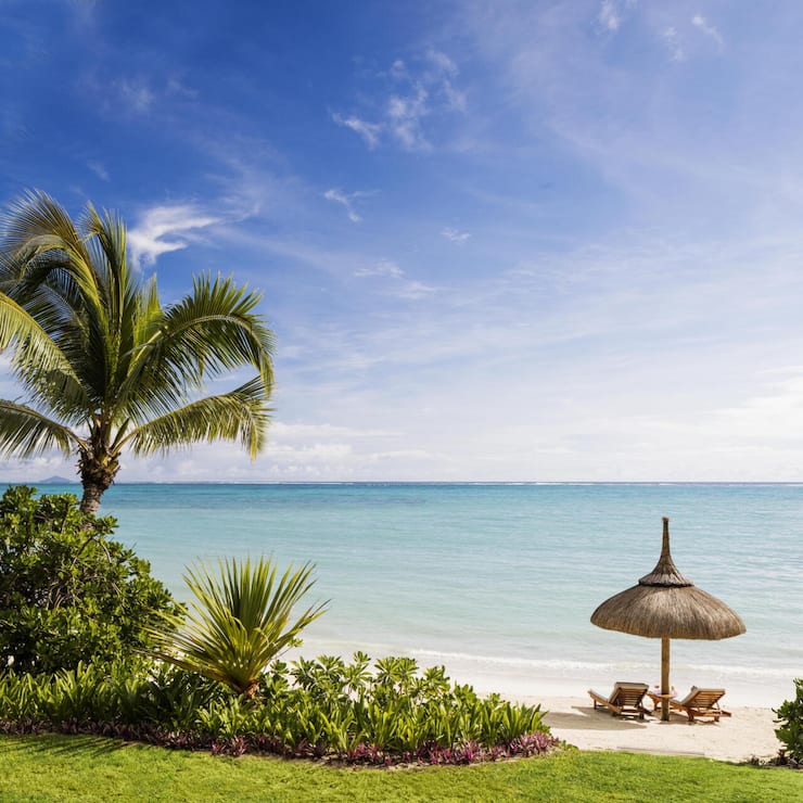 file7y7du06so35mu9zxo88