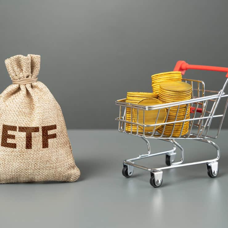 <p>Börsengehandelter Fonds und Einkaufswagen mit Geldmünzen.</p>