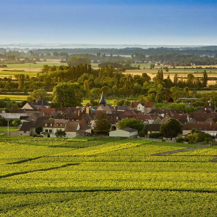 <p>Domaine Leflaive: Das Familienweingut in Puligny-Montrachet gibt es seit 1717. Es gehört zu den renommiertesten Weissweingütern der Welt.</p>