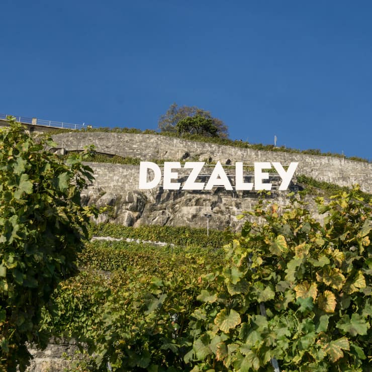 <p>Der Schriftzug wie in Hollywood, die Rebterrassen halsbrecherisch steil: Das Dézaley gehört zu den Spitzenregionen des Schweizer Weinbaus und ist das ideale Terroir für hervorragenden Chasselas.</p>