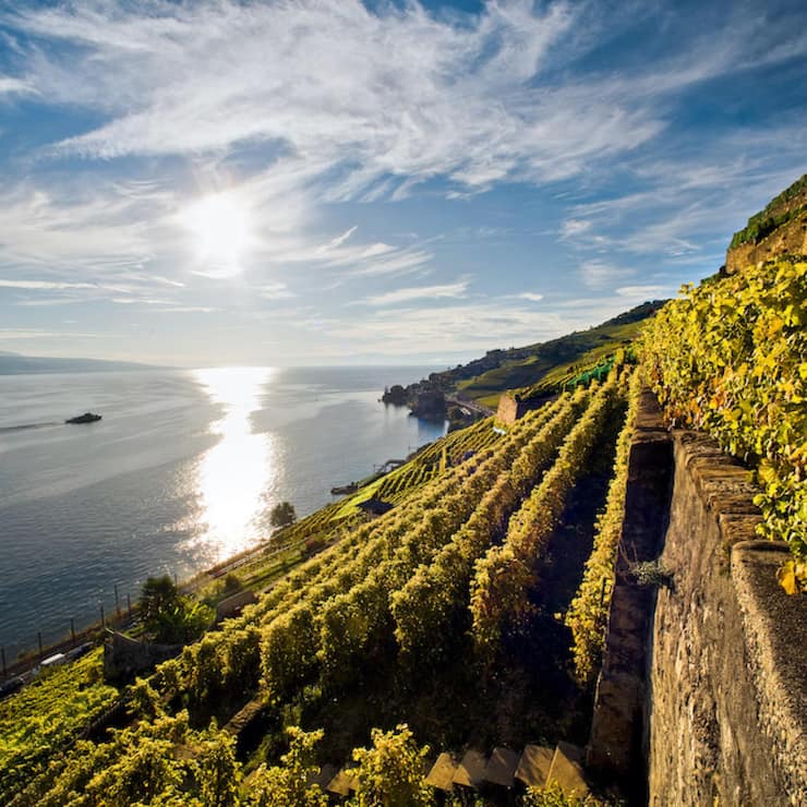 file7borwhot7pfeuub86w7