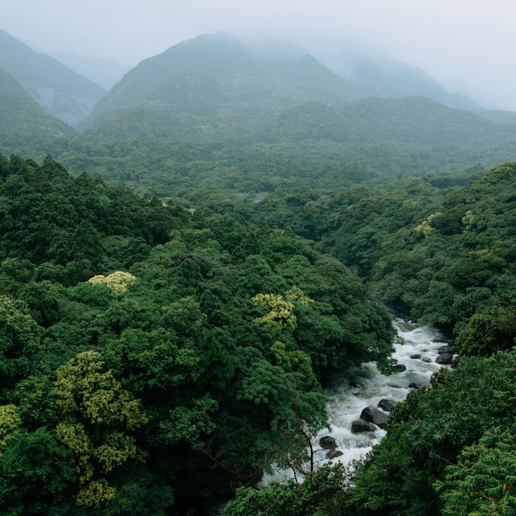 Eine Landschaft von stiller, beinahe spiritueller Intensität.