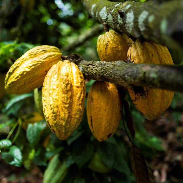 file834ll7d3h9v1376hebm0