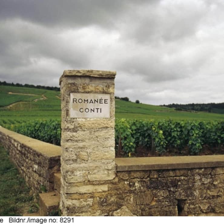 file6xgei4jlhokp64cxaae