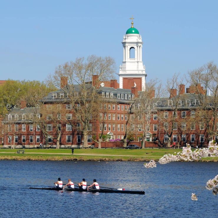 file82llmksln1k1ix7bs31m