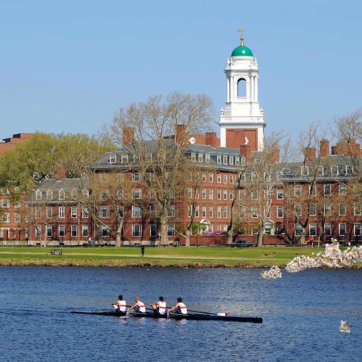 <p>Trumps Auflagen für die Harvard University werden scharf kritisiert.</p>