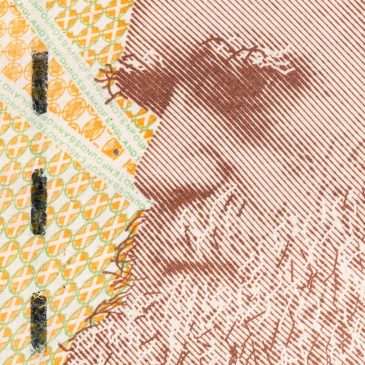 <p>Charles Darwin veröffentlichte seine Evolutionstheorie bereits im Jahr 1859. </p>