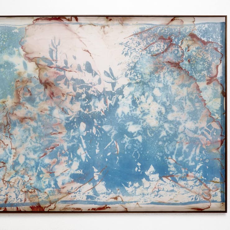 file81qt0puca9v11v4oa3ba