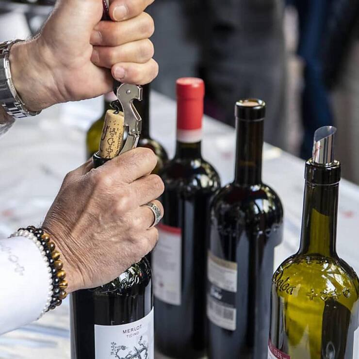 file7xl0t4jds4hi9mrsh2p