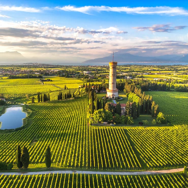 file80sxe4uu7zo68zbqhon