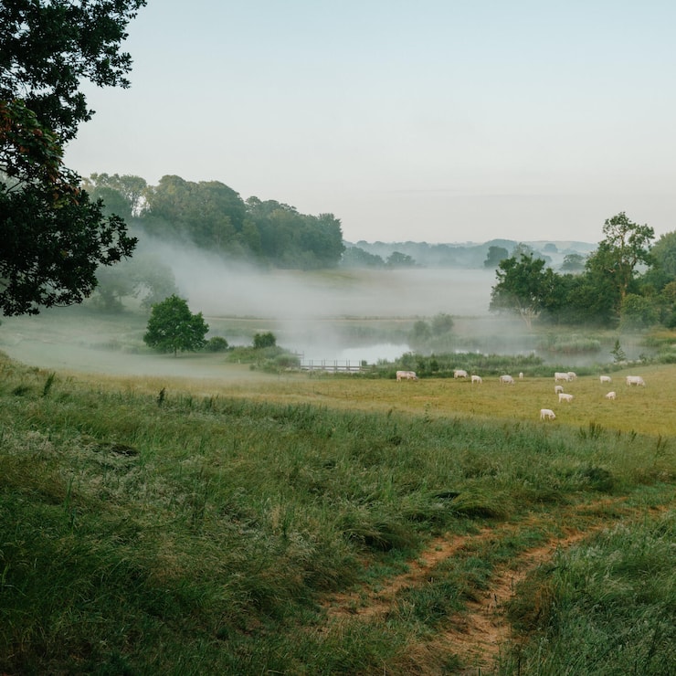 <p>Bruton, Frome oder Mells gelten als «places to be» für trendbewusste Briten.</p>