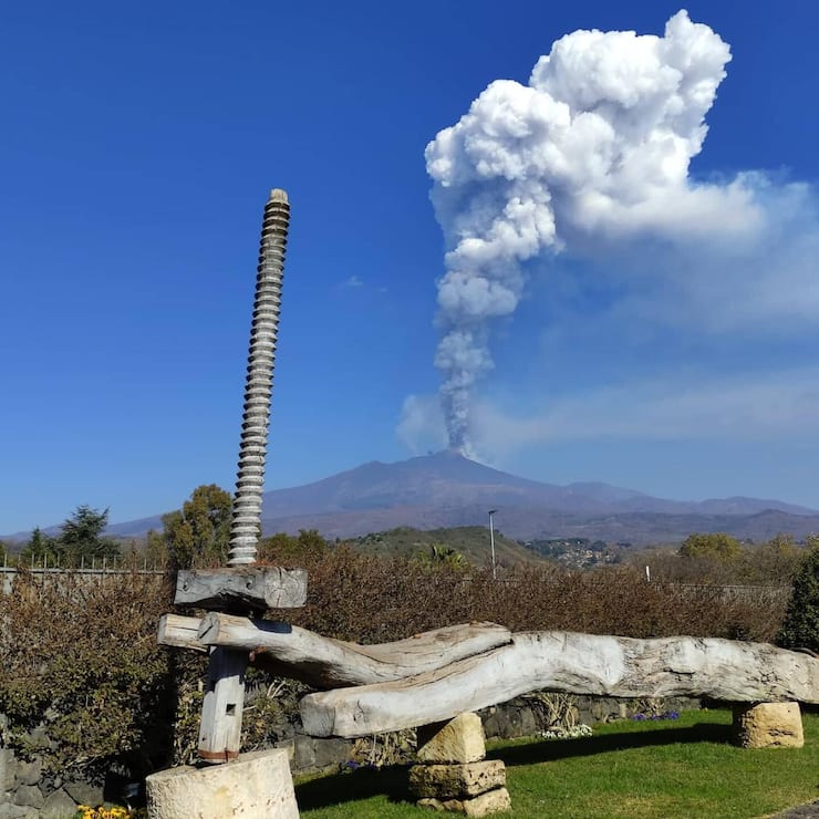 file85b9lpvuf4ohu33q24q1