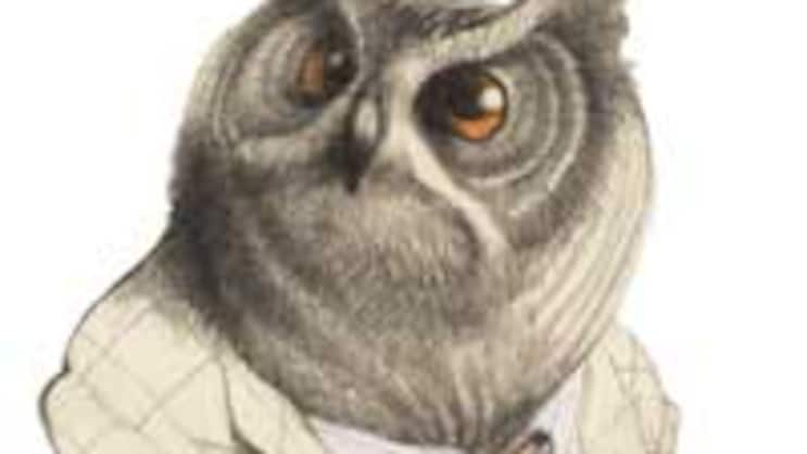 Uhu (Bubo bubo)