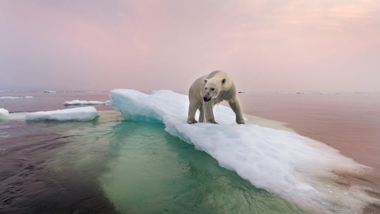 Fatale Folgen: Der Klimawandel bedroht die grössten Gletscher der Welt.
