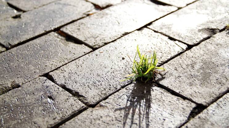 Impact Investing: Soll anders als Philanthropie auch einen Ertrag einbringen.