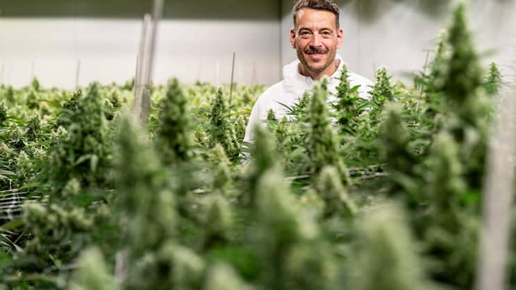 Von Coca-Cola zu Cannabis: Marry-Jane-CEO Rico Üslük ist ein Konsumgüterprofi. Er war lange Manager beim US-Konzern Coca-Cola.