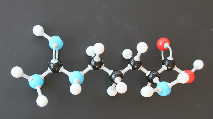 Arginin: Aminosäure L-Arginin hilft Krebspatienten. Wikipedia