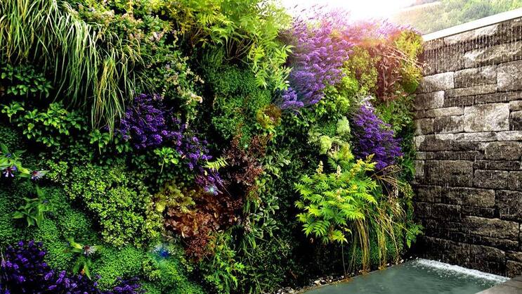 Zufallsprinzip: Garten und Pflanzen bilden einen dichten Sichtschutz. Giardina