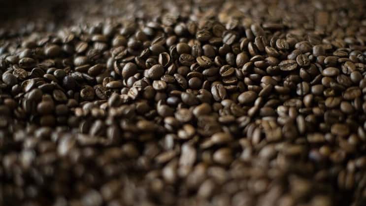 Kaffeeland: Mehr als zwei Drittel des weltweiten Rohkaffee-Handels läuft über die Schweiz.Keystone